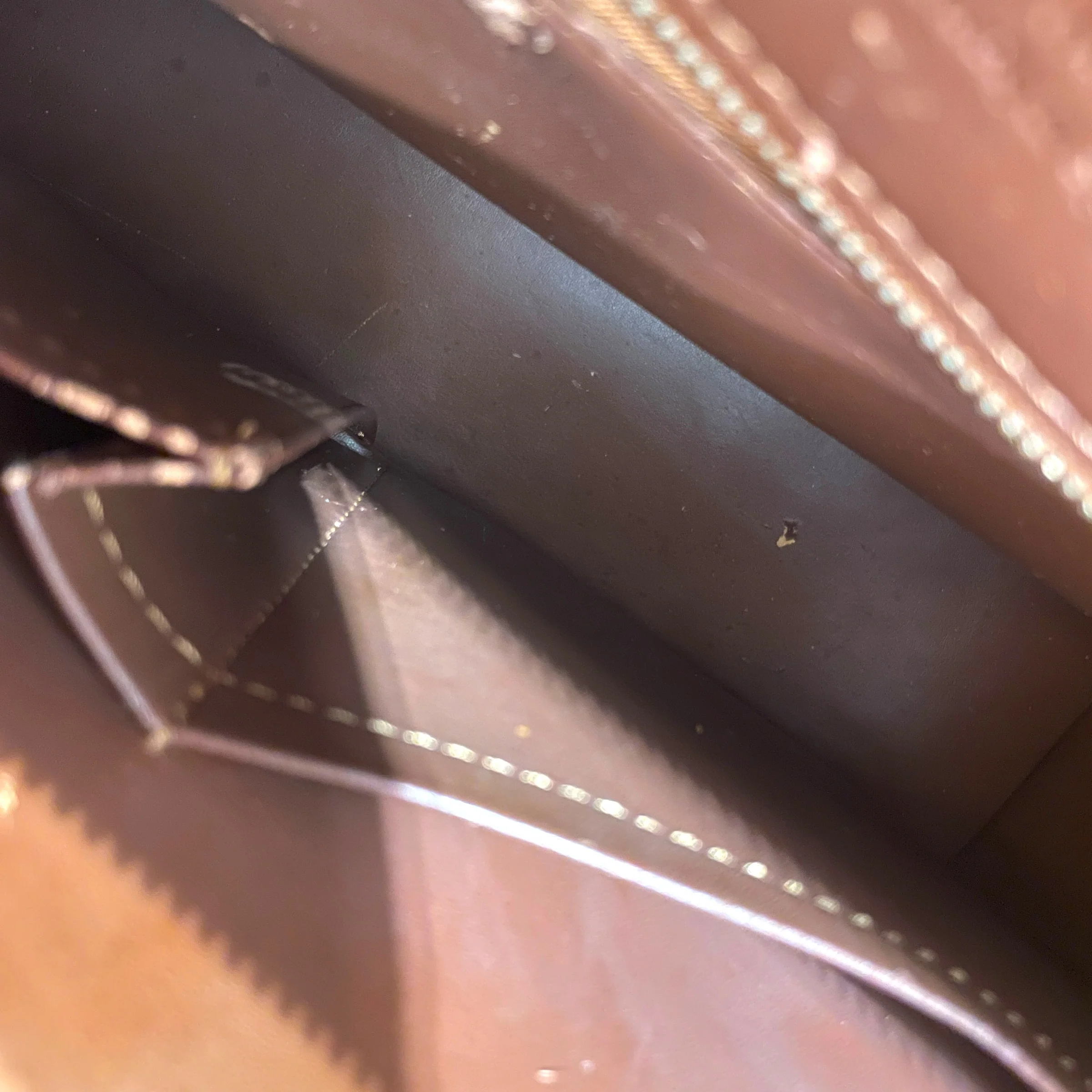 LOUIS VUITTON/Bag/Monogram/Leather/BRW/Houston Long BAg
