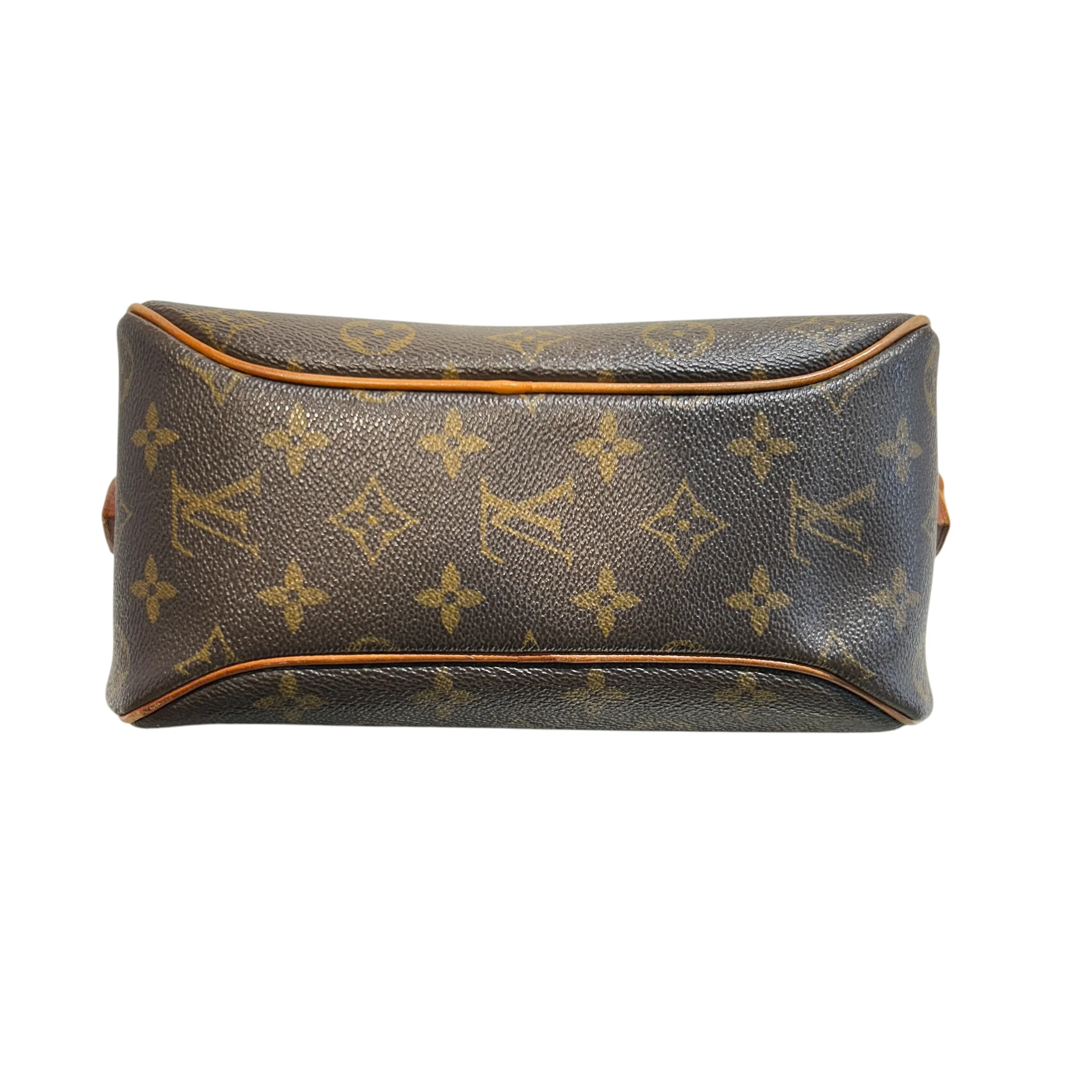 LOUIS VUITTON/Cross Body Bag/Monogram/Leather/BRW/Blois