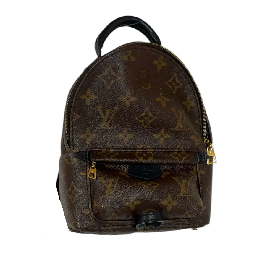 LOUIS VUITTON/Backpack/Monogram/Leather/BRW/PALM SPRINGS MINI BACKPACK