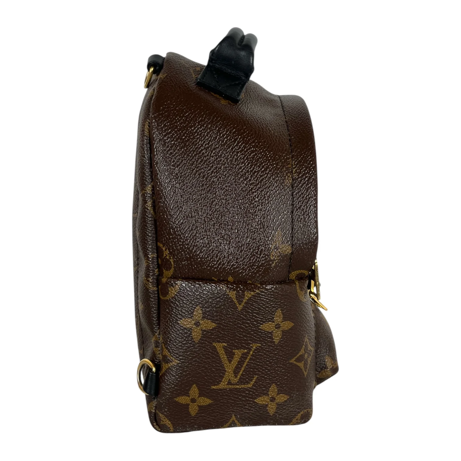 LOUIS VUITTON/Backpack/Monogram/Leather/BRW/PALM SPRINGS MINI BACKPACK