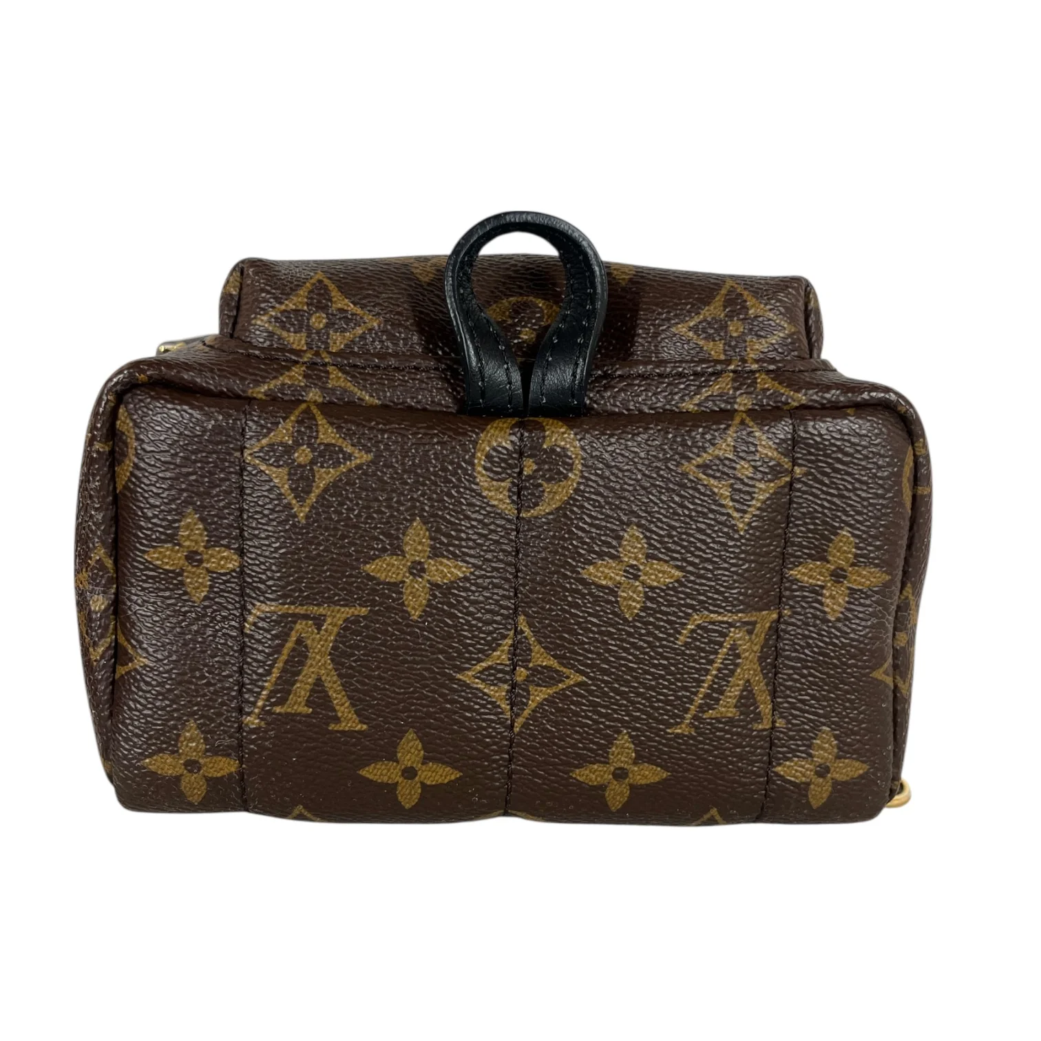 LOUIS VUITTON/Backpack/Monogram/Leather/BRW/PALM SPRINGS MINI BACKPACK