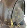 LOUIS VUITTON/Backpack/Monogram/Leather/BRW/PALM SPRINGS MINI BACKPACK