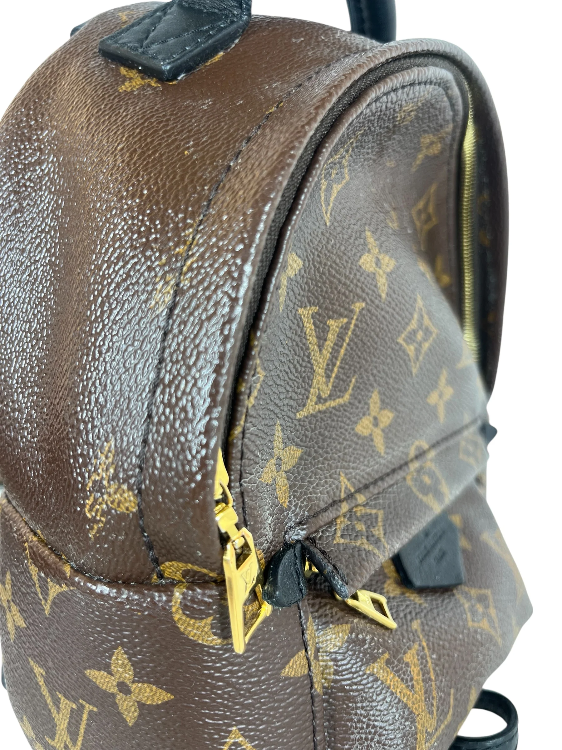 LOUIS VUITTON/Backpack/Monogram/Leather/BRW/PALM SPRINGS MINI BACKPACK