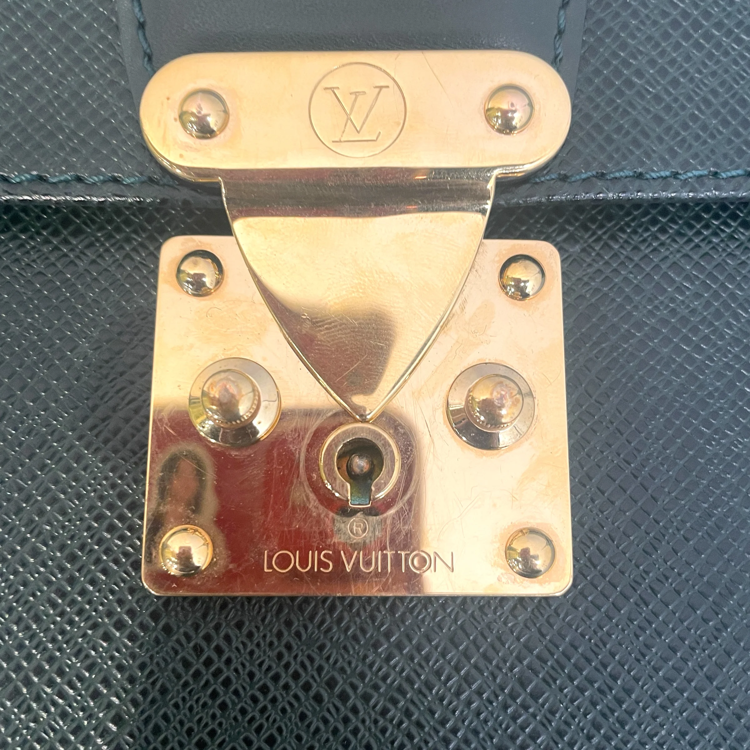 LOUIS VUITTON/Briefcase/Animal Pattern/Leather/GRN/Taiga 2010