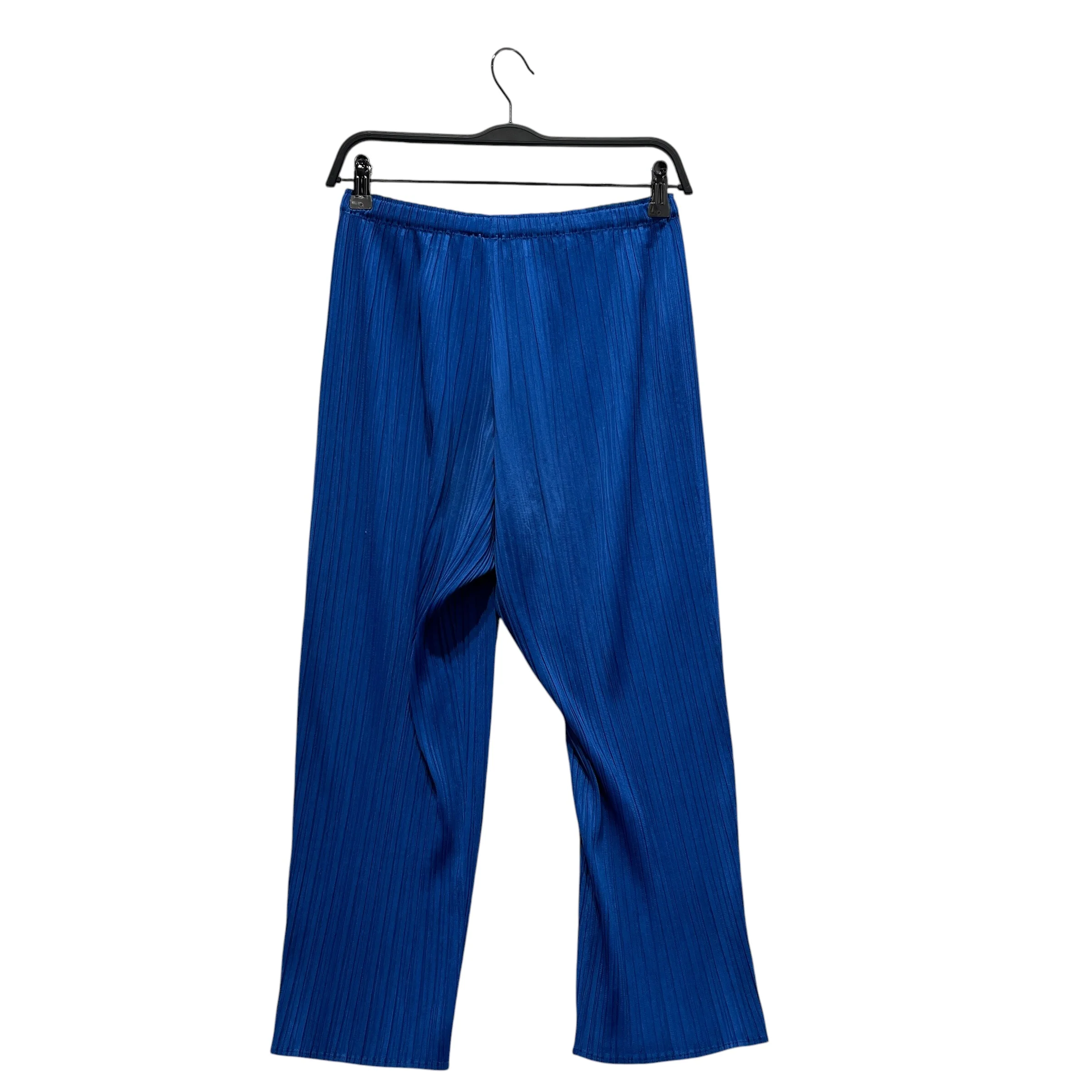 PLEATS PLEASE ISSEY MIYAKE/Bottoms/5/Polyester/BLU/crop taper