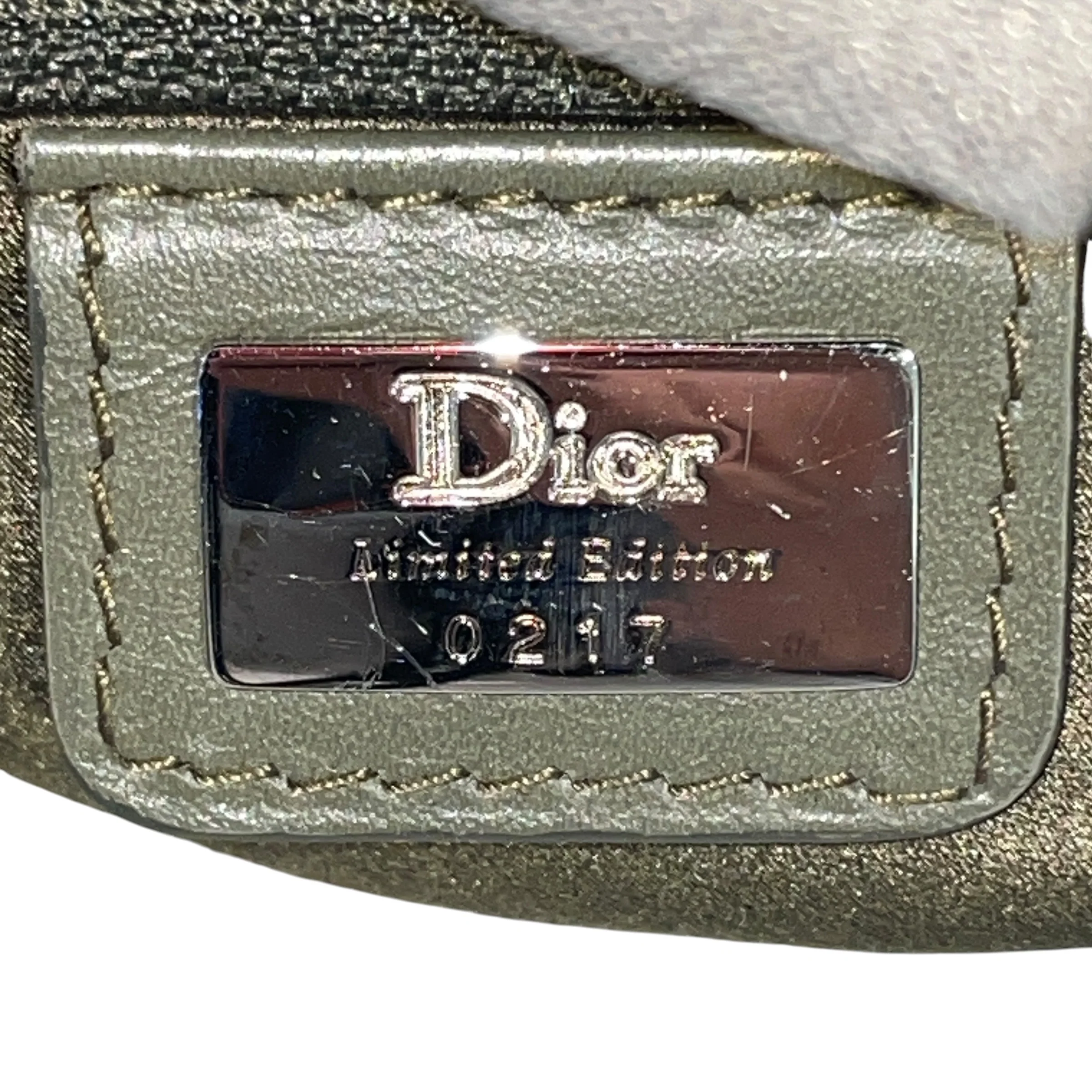 735-christian-dior-hand-bag-all-over-print-grn-street-chic-columbas-ave-8.webp Christian Dior/Hand Bag/All Over Print/GRN/Street Chic Columbas Ave