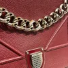 Christian Dior/Cross Body Bag/Leather/BRD/DIORAMAXBODY